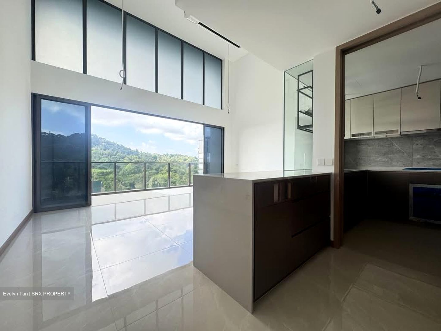 The Botany At Dairy Farm (D23), Condominium #537889861